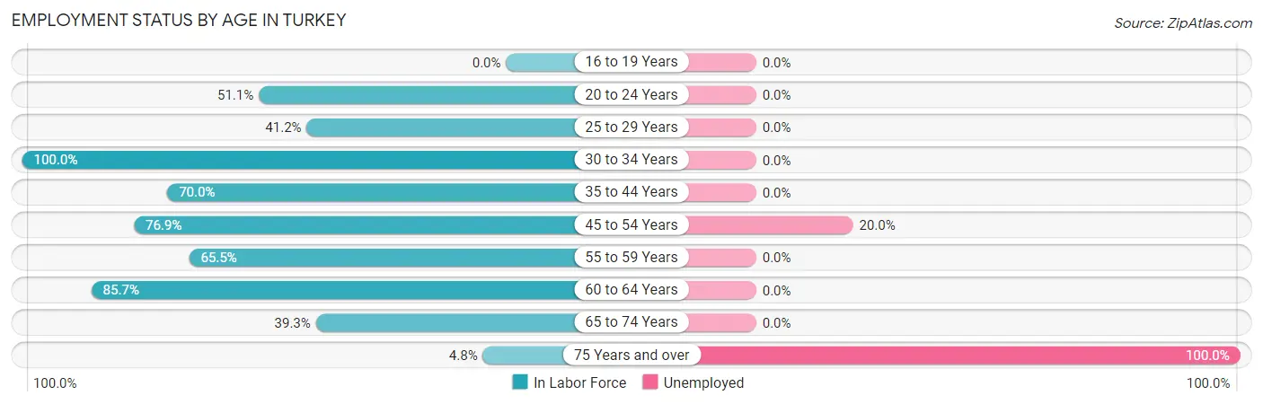 Employment Status by Age in Turkey