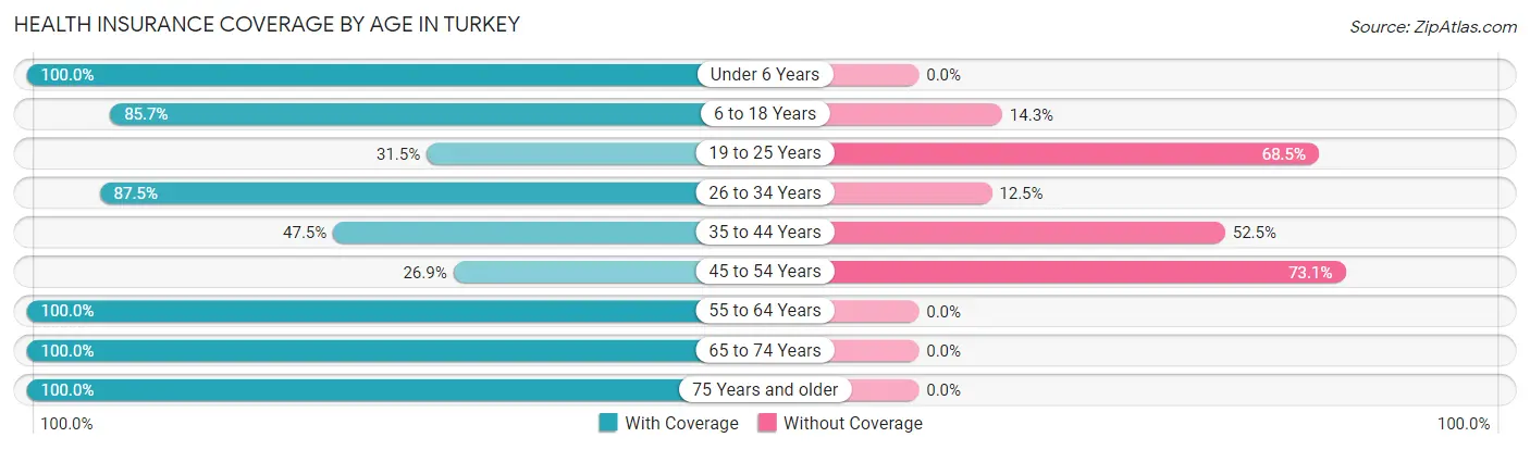 Health Insurance Coverage by Age in Turkey