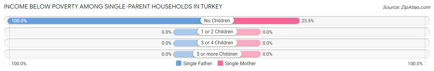 Income Below Poverty Among Single-Parent Households in Turkey