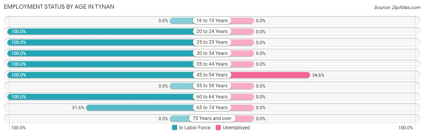 Employment Status by Age in Tynan