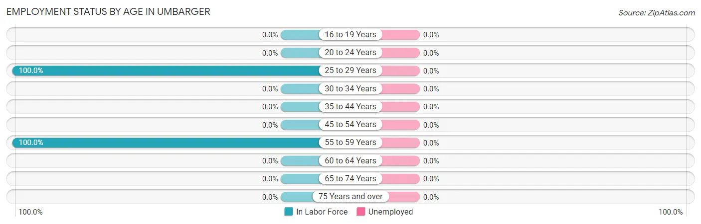 Employment Status by Age in Umbarger