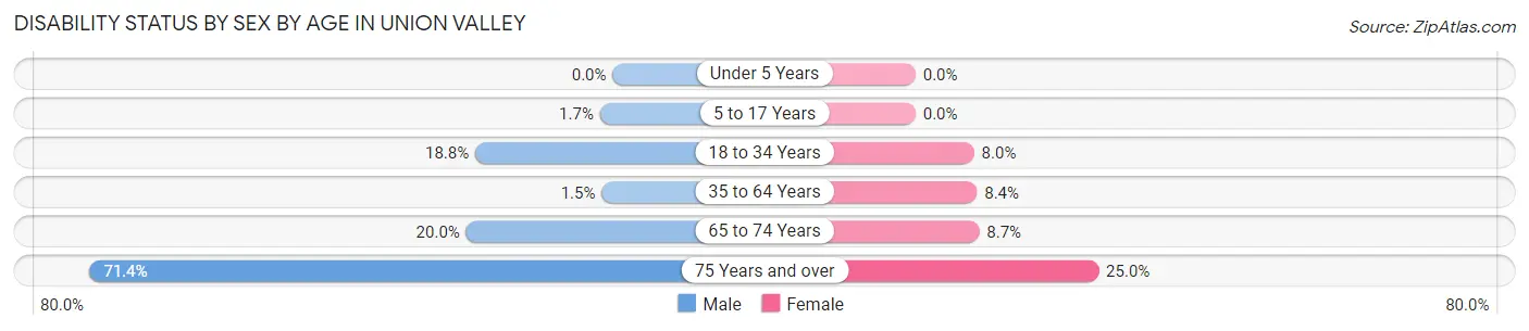 Disability Status by Sex by Age in Union Valley