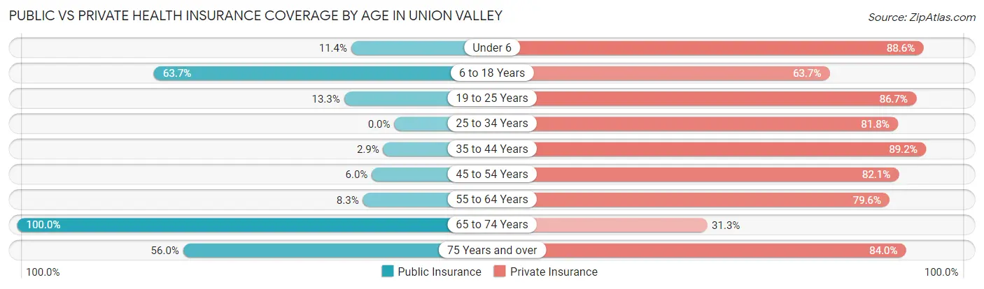Public vs Private Health Insurance Coverage by Age in Union Valley