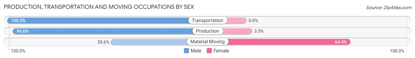 Production, Transportation and Moving Occupations by Sex in University Park