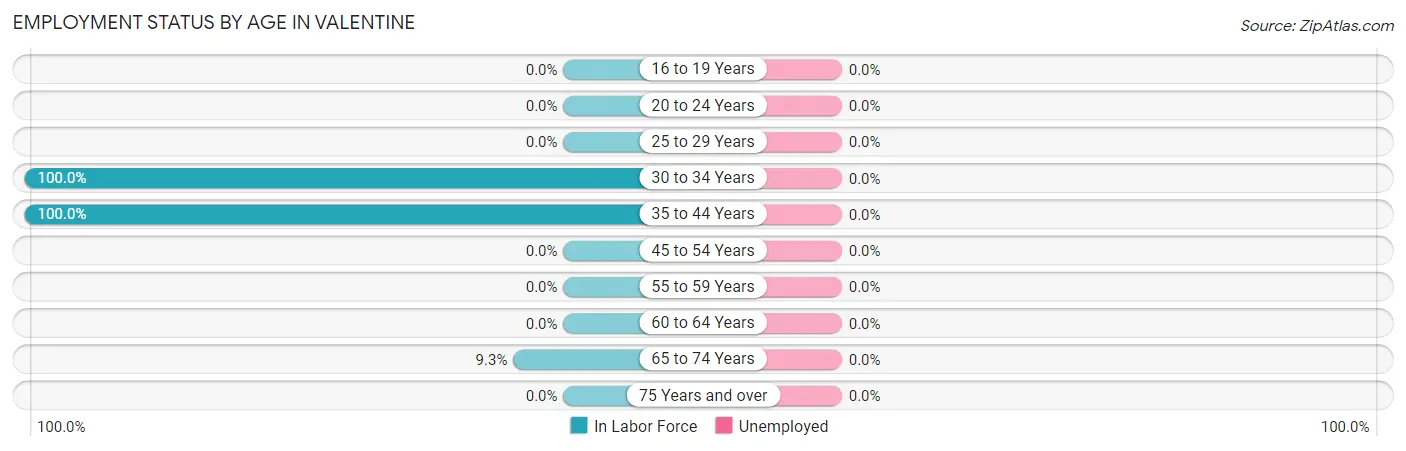 Employment Status by Age in Valentine