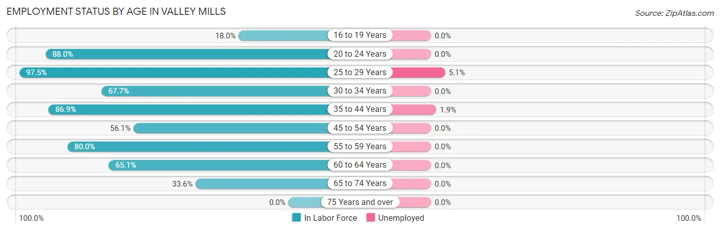 Employment Status by Age in Valley Mills