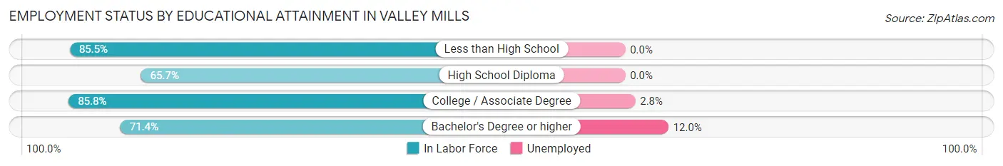 Employment Status by Educational Attainment in Valley Mills
