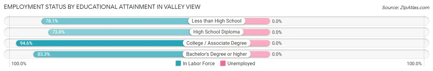 Employment Status by Educational Attainment in Valley View