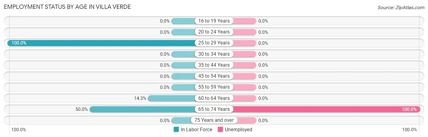 Employment Status by Age in Villa Verde