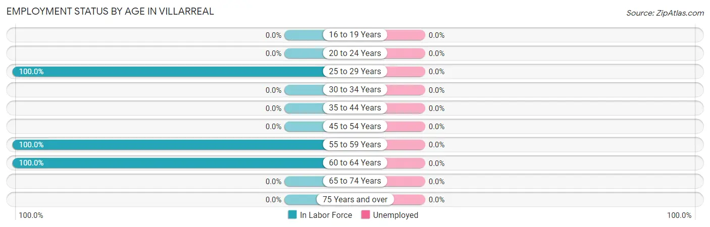 Employment Status by Age in Villarreal