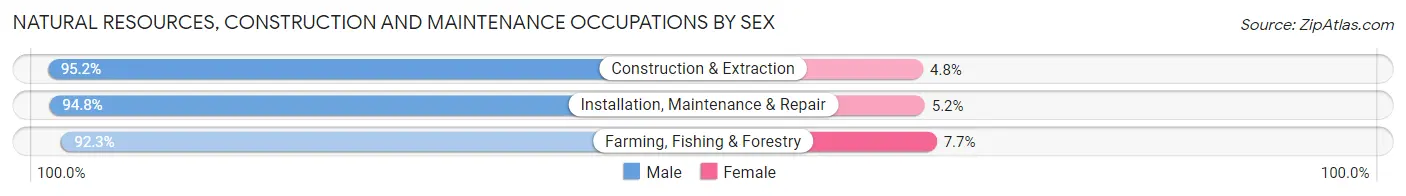 Natural Resources, Construction and Maintenance Occupations by Sex in Waco
