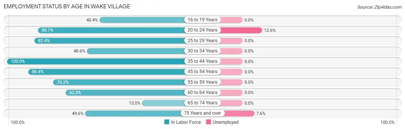 Employment Status by Age in Wake Village