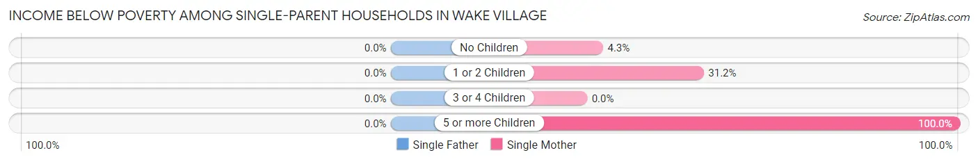 Income Below Poverty Among Single-Parent Households in Wake Village