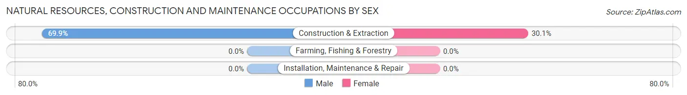 Natural Resources, Construction and Maintenance Occupations by Sex in Wake Village