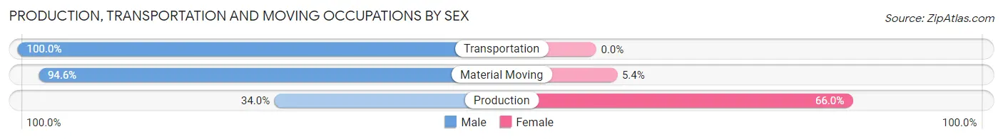 Production, Transportation and Moving Occupations by Sex in Wake Village