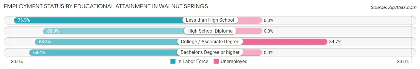 Employment Status by Educational Attainment in Walnut Springs