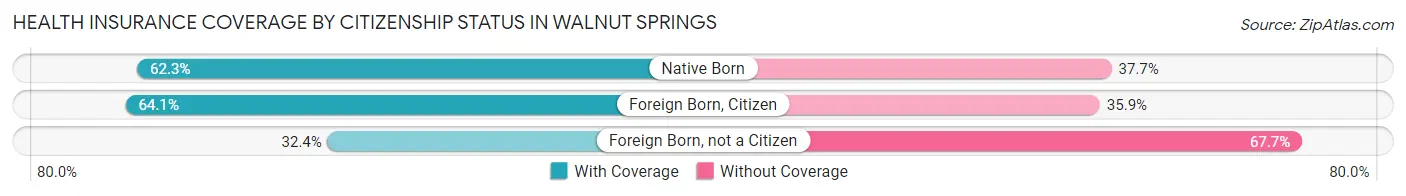 Health Insurance Coverage by Citizenship Status in Walnut Springs