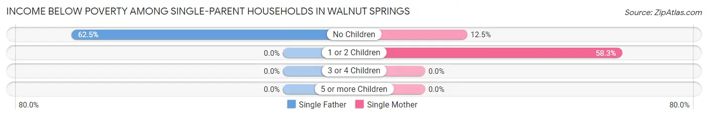 Income Below Poverty Among Single-Parent Households in Walnut Springs