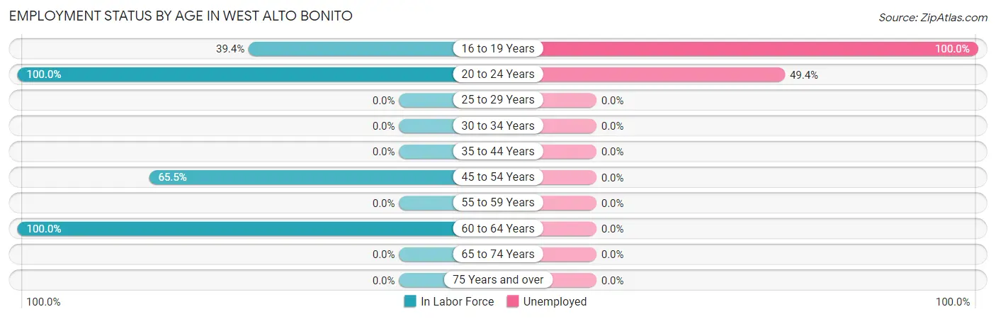 Employment Status by Age in West Alto Bonito