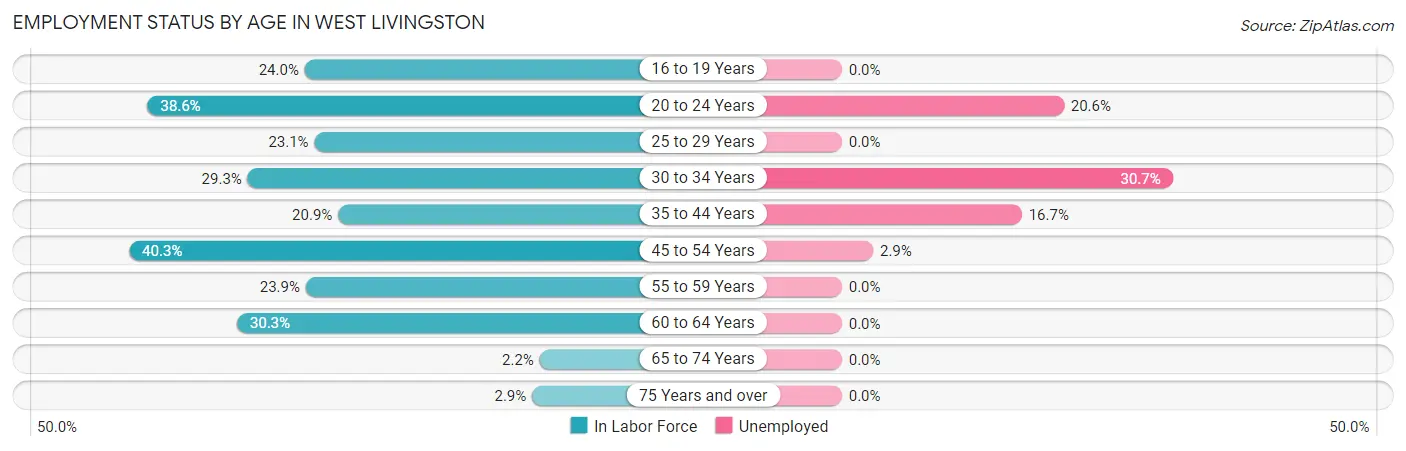 Employment Status by Age in West Livingston