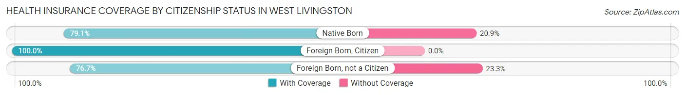 Health Insurance Coverage by Citizenship Status in West Livingston