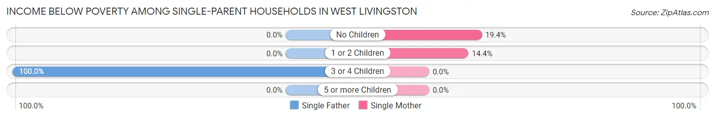 Income Below Poverty Among Single-Parent Households in West Livingston