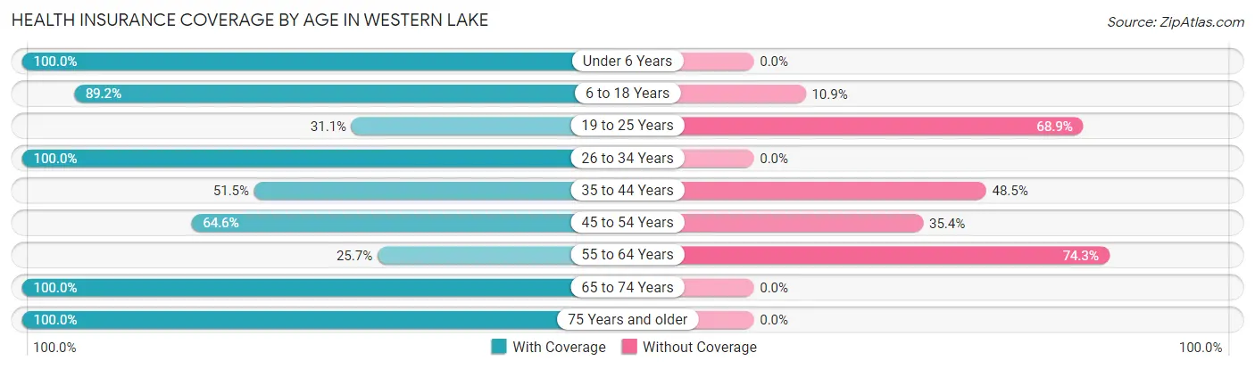 Health Insurance Coverage by Age in Western Lake