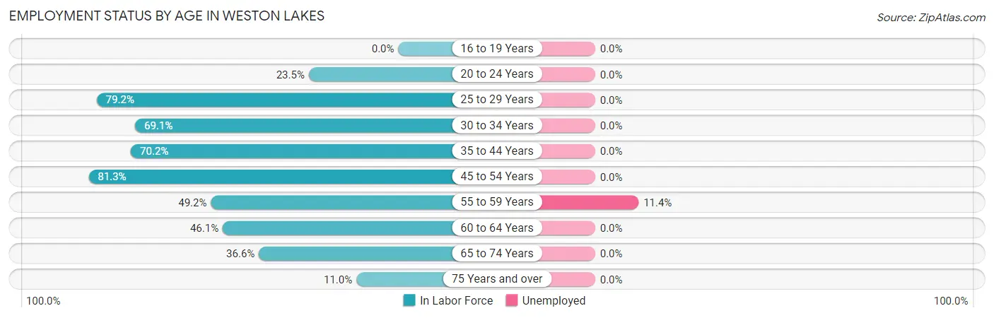 Employment Status by Age in Weston Lakes
