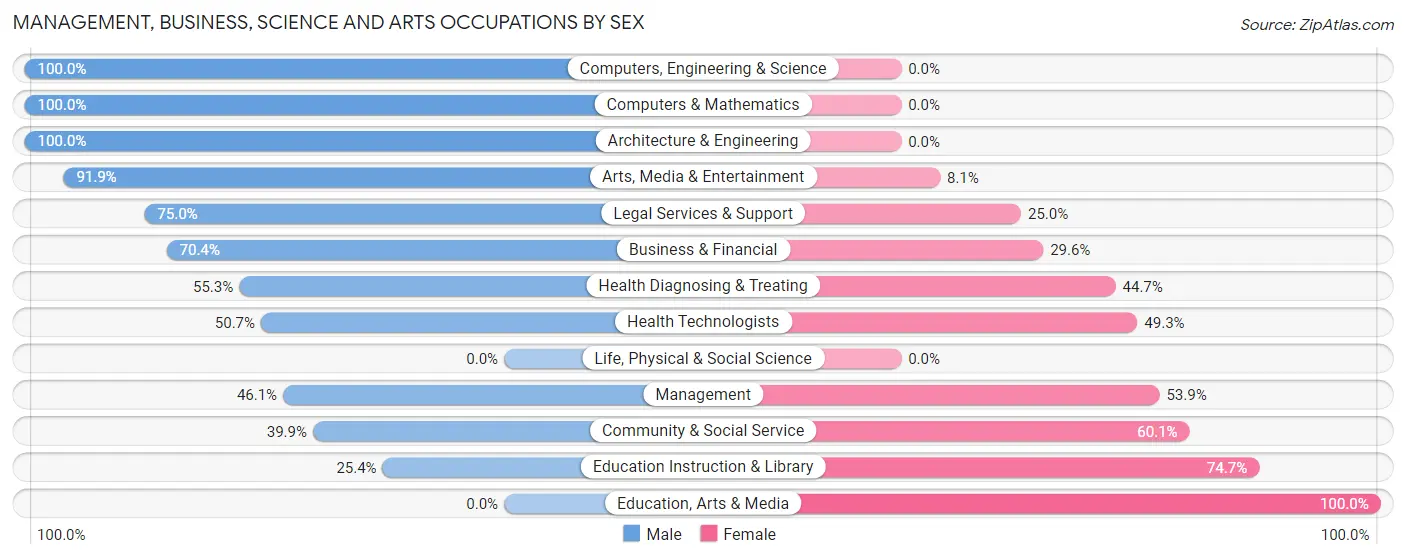 Management, Business, Science and Arts Occupations by Sex in Westworth Village