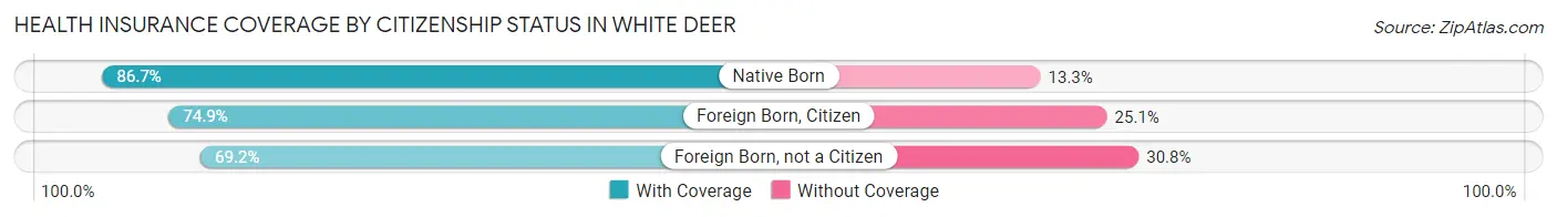 Health Insurance Coverage by Citizenship Status in White Deer