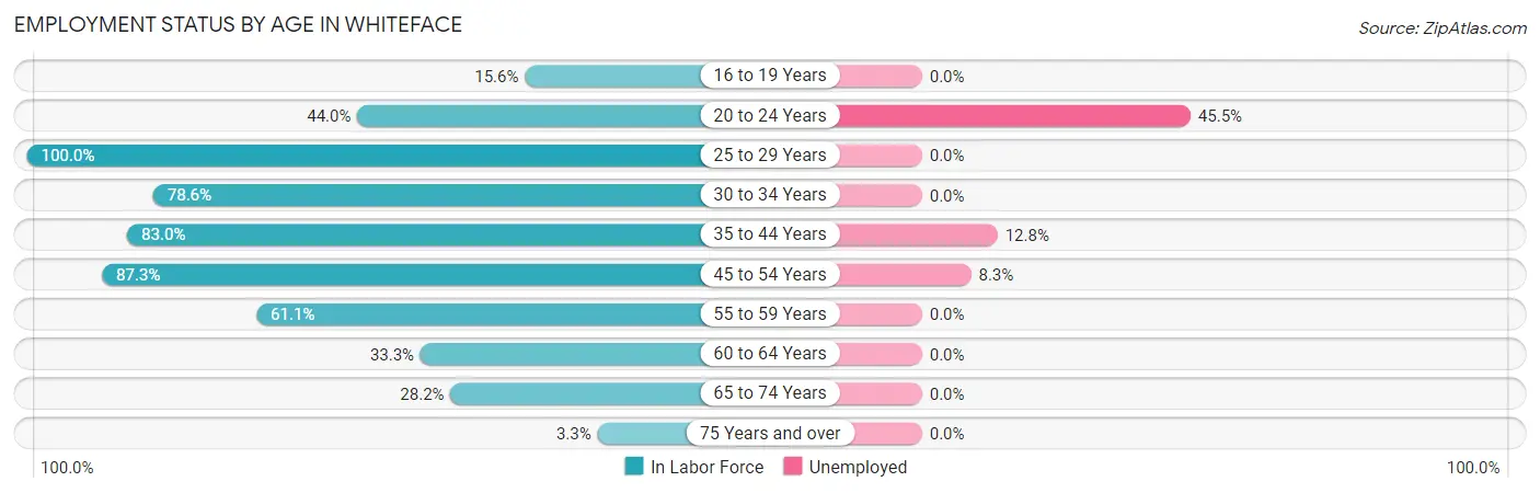 Employment Status by Age in Whiteface