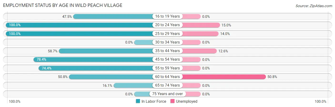 Employment Status by Age in Wild Peach Village