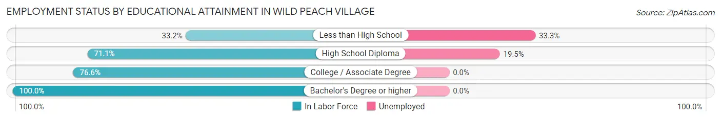 Employment Status by Educational Attainment in Wild Peach Village
