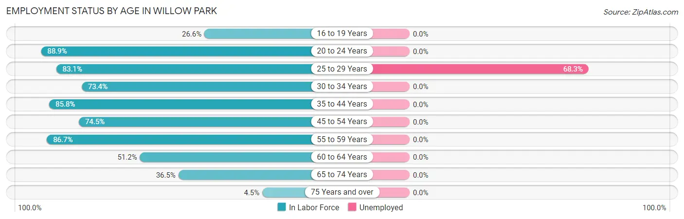Employment Status by Age in Willow Park