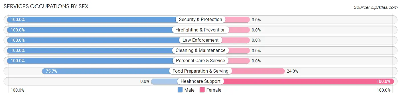 Services Occupations by Sex in Willow Park