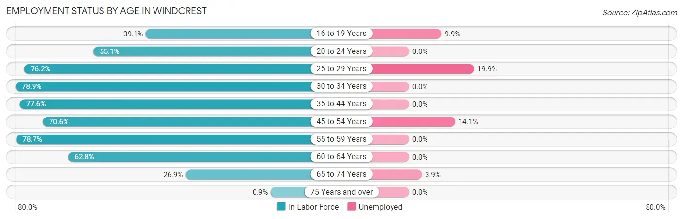 Employment Status by Age in Windcrest