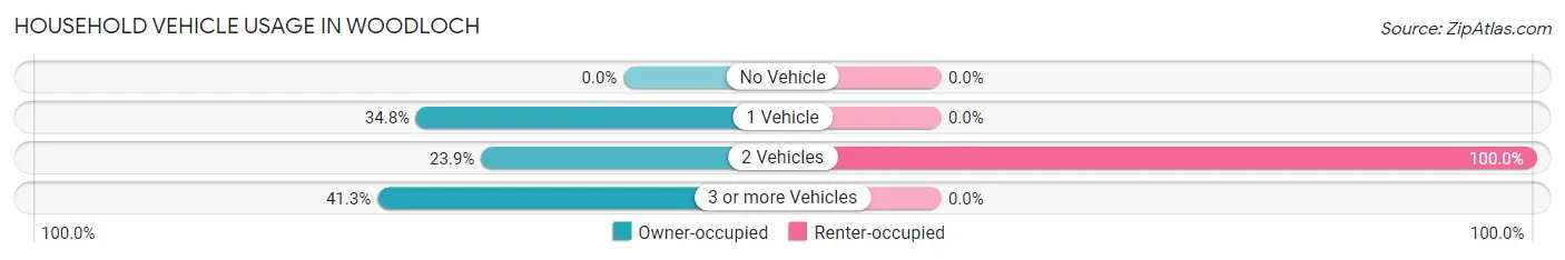 Household Vehicle Usage in Woodloch