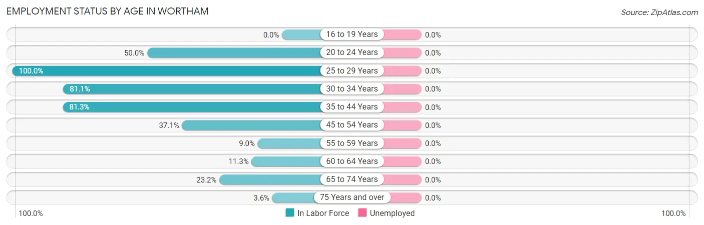 Employment Status by Age in Wortham