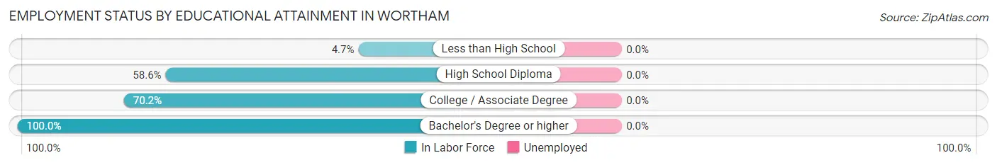 Employment Status by Educational Attainment in Wortham