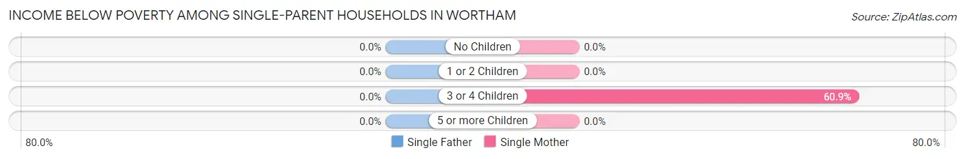 Income Below Poverty Among Single-Parent Households in Wortham