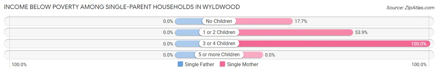 Income Below Poverty Among Single-Parent Households in Wyldwood