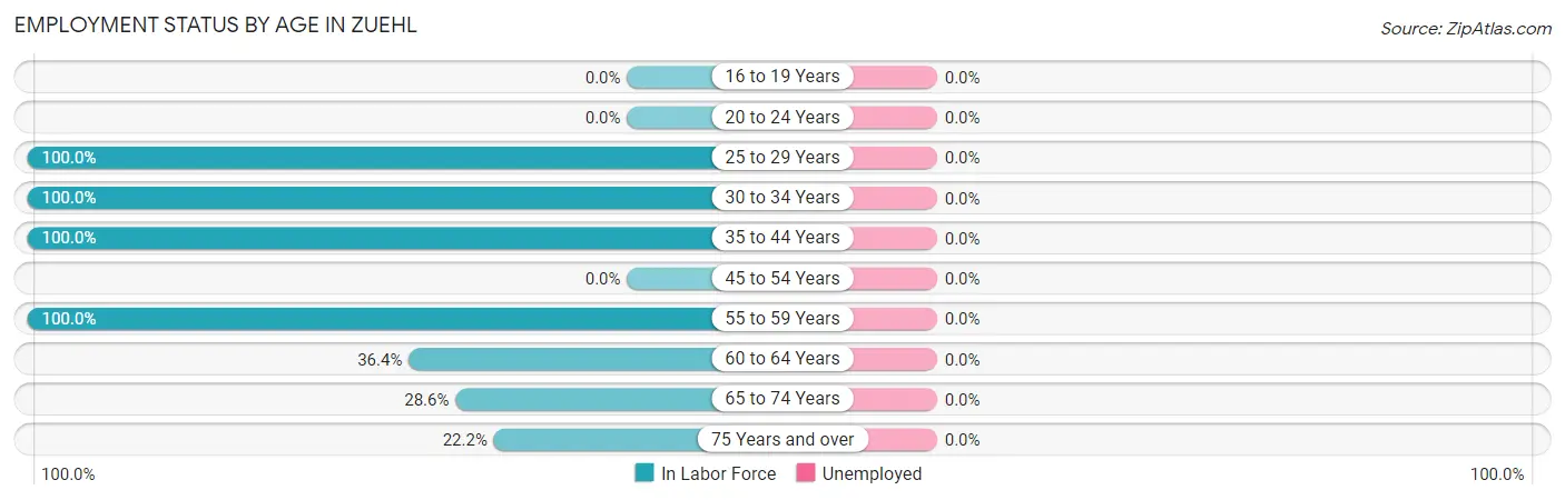 Employment Status by Age in Zuehl