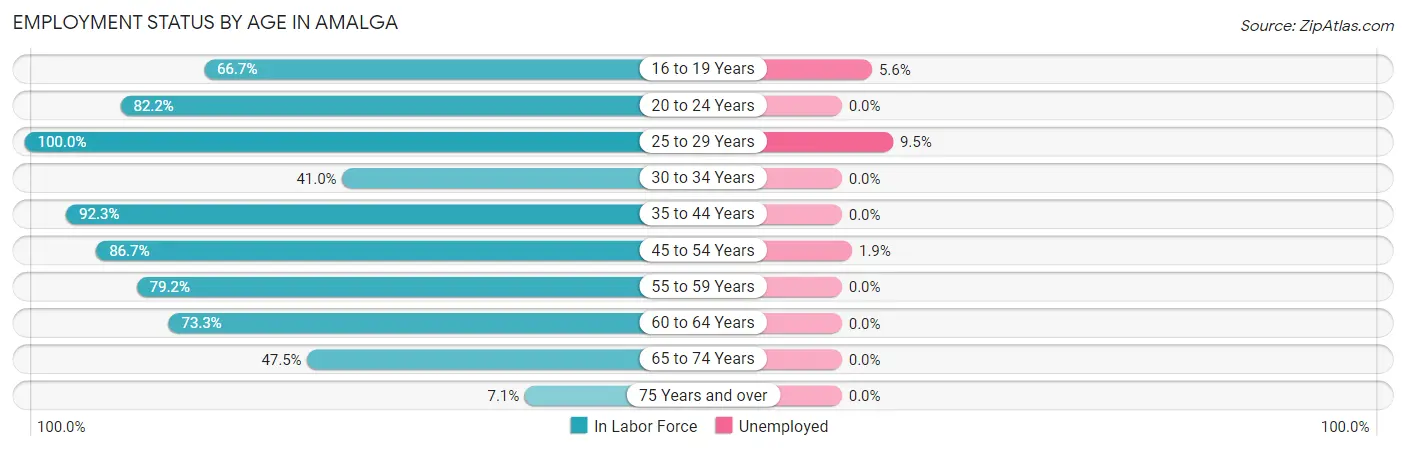 Employment Status by Age in Amalga