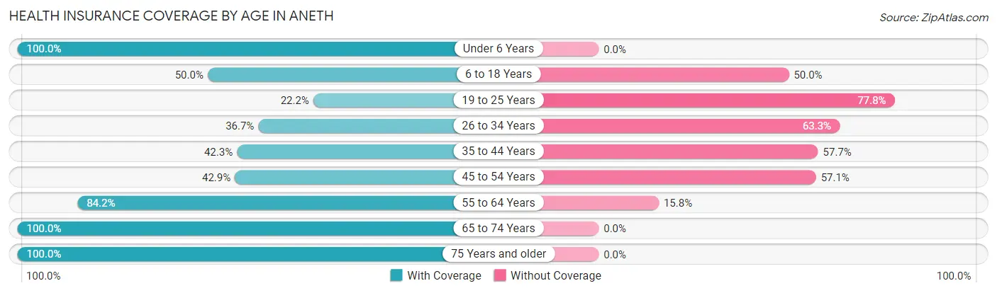 Health Insurance Coverage by Age in Aneth
