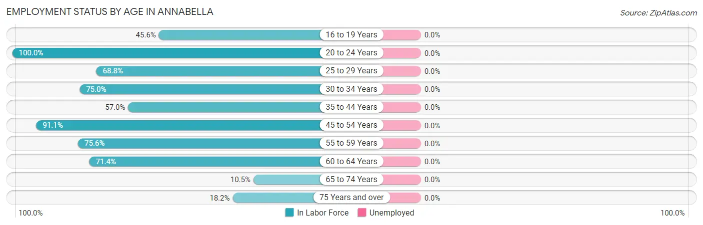 Employment Status by Age in Annabella