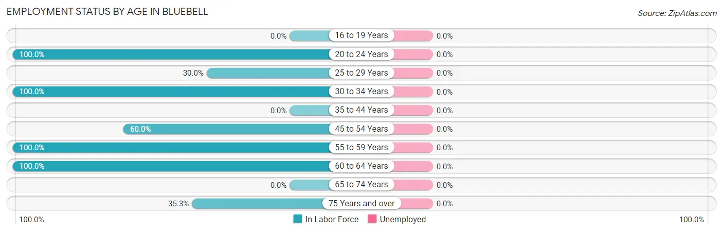 Employment Status by Age in Bluebell