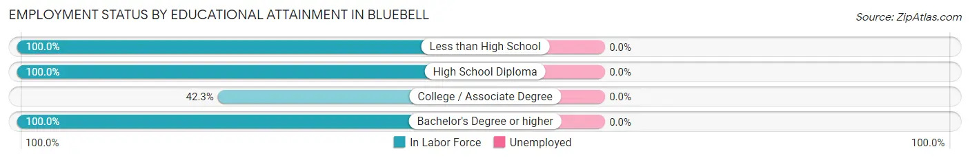 Employment Status by Educational Attainment in Bluebell