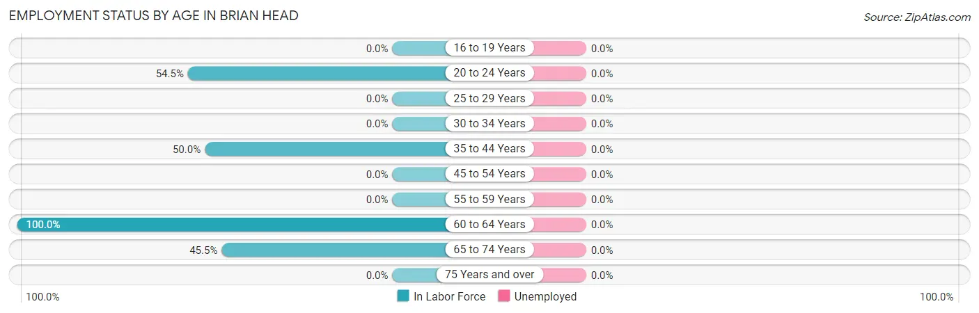 Employment Status by Age in Brian Head