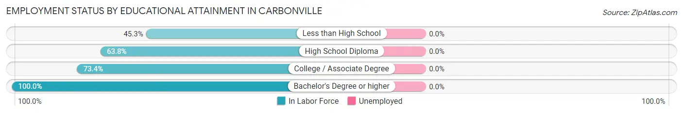 Employment Status by Educational Attainment in Carbonville