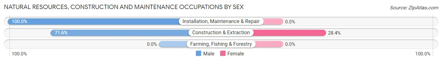Natural Resources, Construction and Maintenance Occupations by Sex in Carbonville